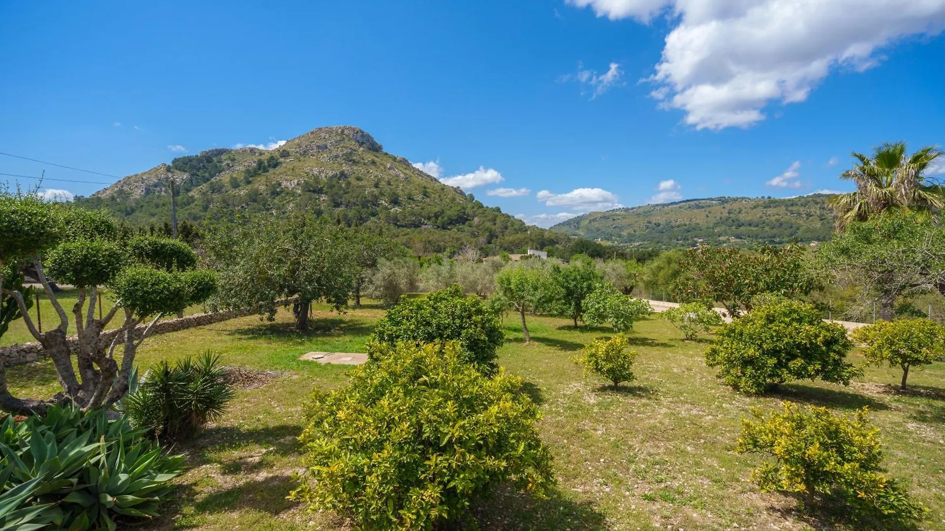 Apartment Finca Alcudia Cycling Spain